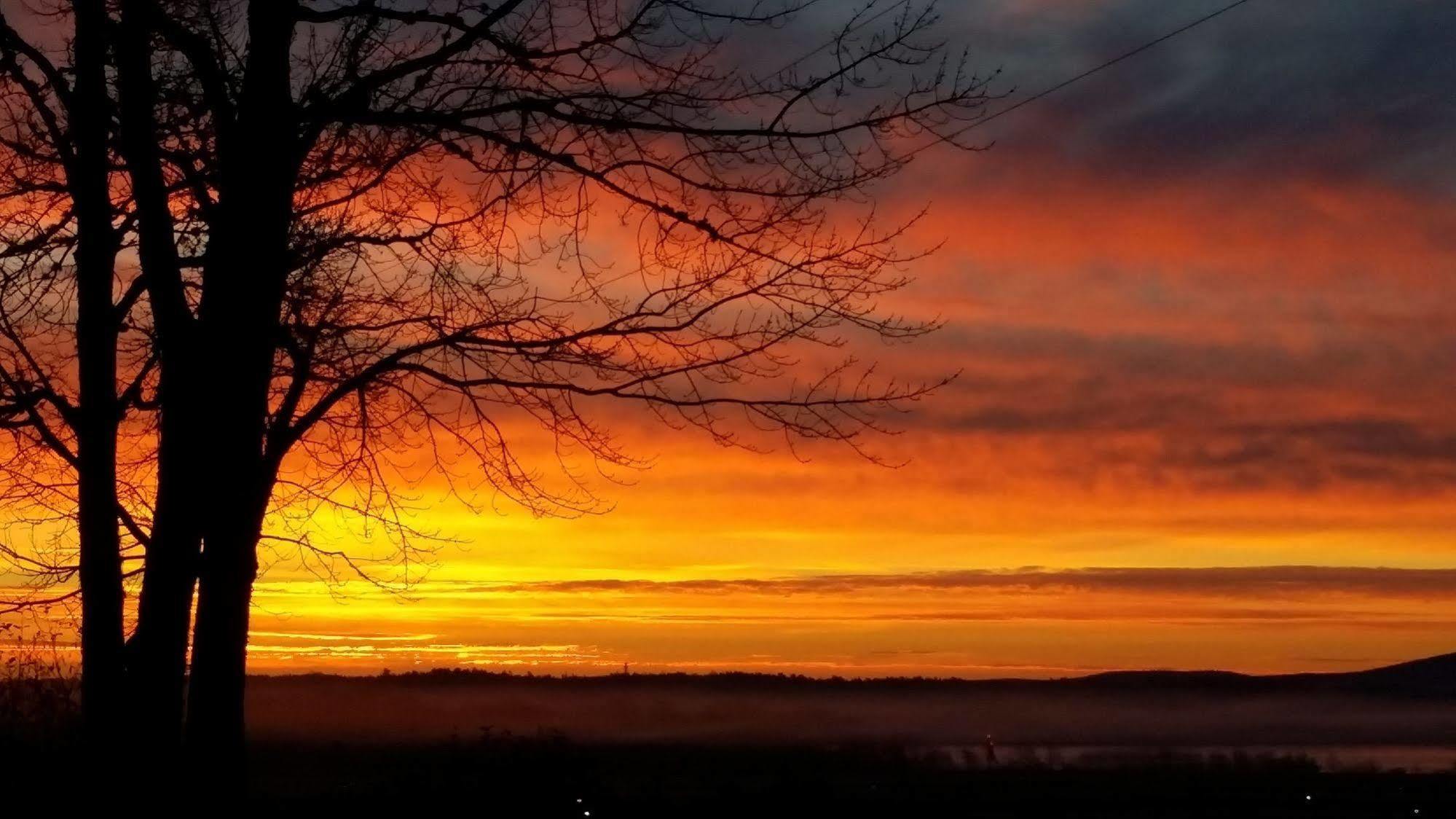 Acadia Sunrise Motel เทรนตัน ภายนอก รูปภาพ